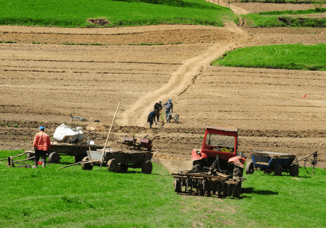 IFAD continuă finanțarea proiectelor în agricultură în Moldova