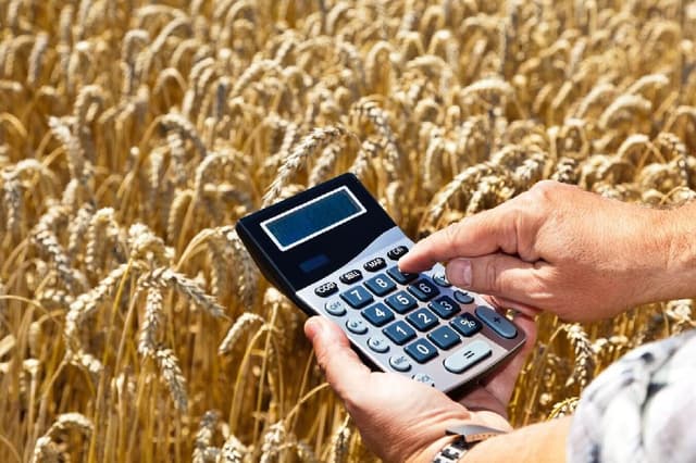 Venitul mediu din activitatea agricolă a micilor producători în anul 2018
