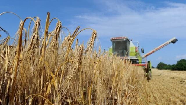 UE promite sprijin pentru dezvoltarea sectorului agricol din Moldova