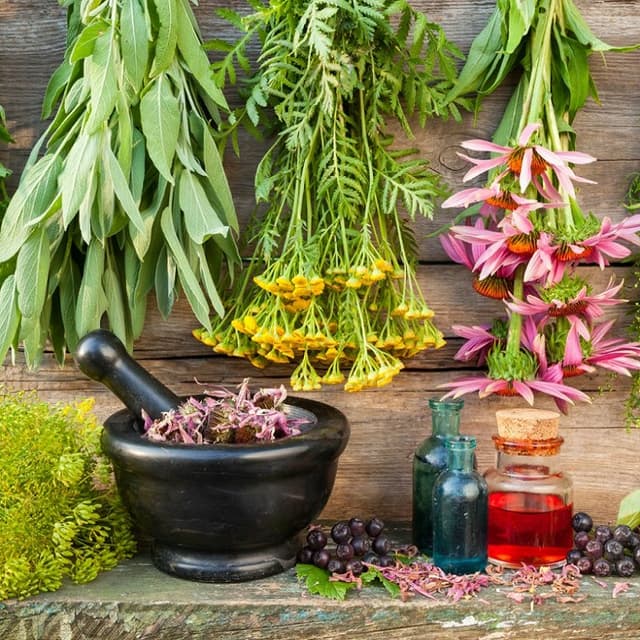 Granturi pentru produse ecologice