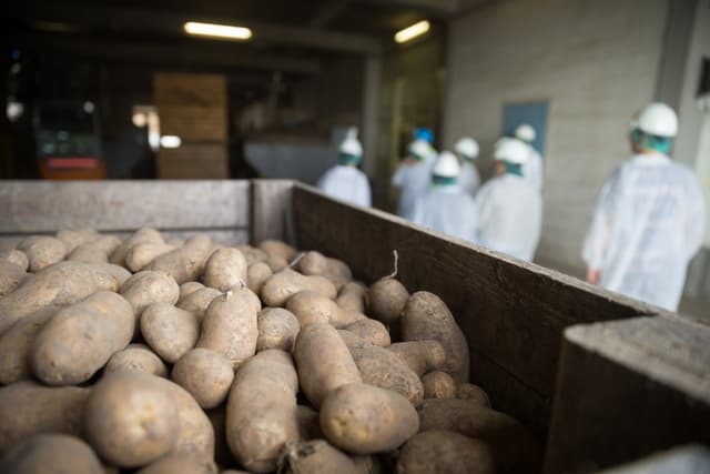 Letonia va susţine deschiderea unei fabrici de prelucrare a cartofului în raionul Briceni