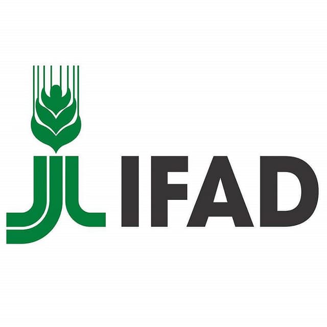 IFAD VIII: transformarea zonei rurale