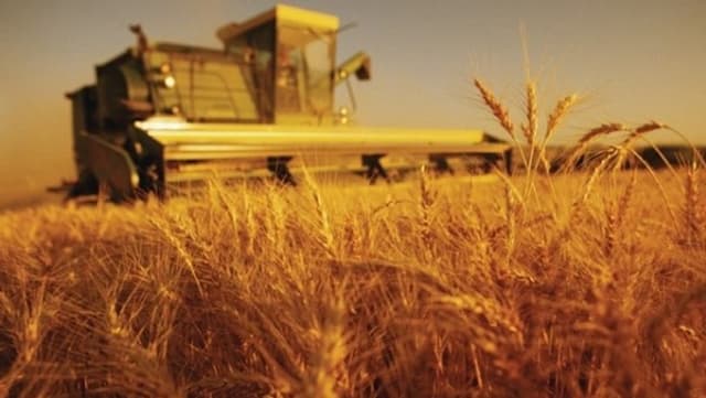 Aplicarea variantei dezvoltate și simplificate  a metodei „direct-costing” la determinarea  venitului marginal pe produse, sectoare și subsectoare agricole