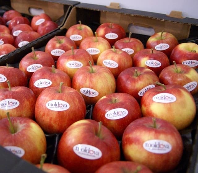 Новые правила экспорта в Россию