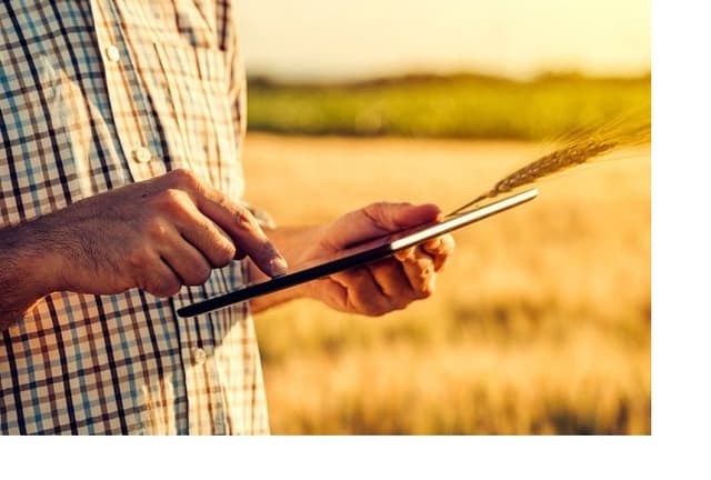 Perfecționarea contabilității unor costuri de materiale directe din fitotehnie