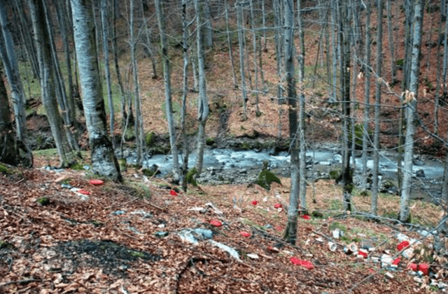 Legea privind plata pentru poluarea mediului va fi modificată