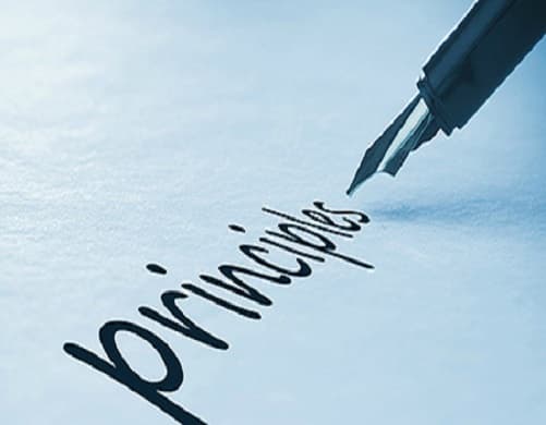 Legea comerțului interior: principiile activității