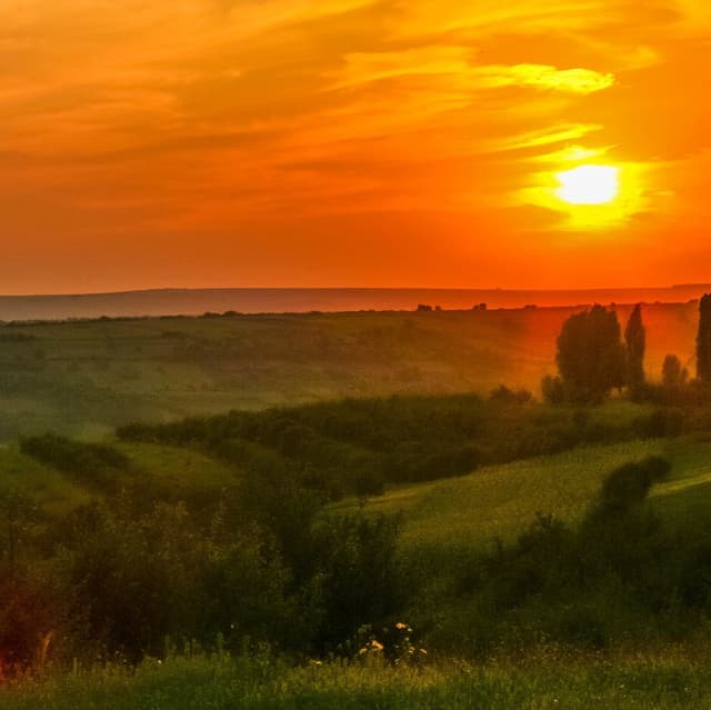 Accesul la terenuri agricole vs admiterea la traficul internaţional