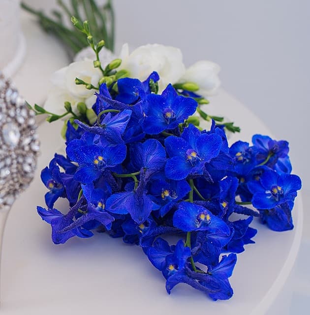 Mult stimate Domn Vitalie Coceban!