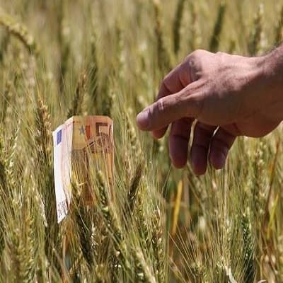 Producătorii agricoli care au suportat pierderi de peste 50% vor fi susținuți