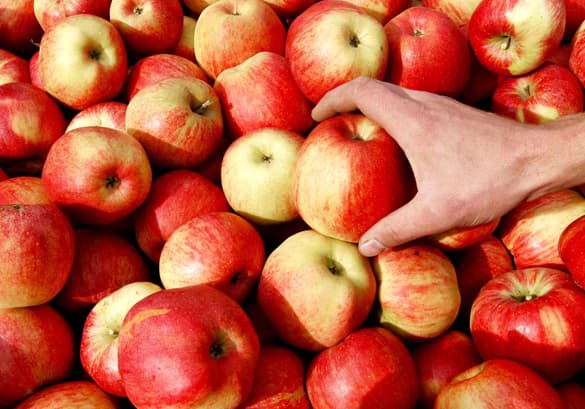 Importatorii români nu au îndreptățit așteptările producătorilor de mere