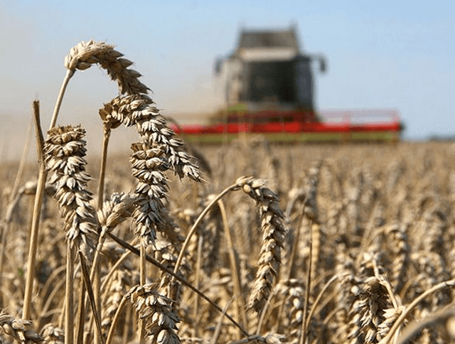 Аграрии собираются на отчет