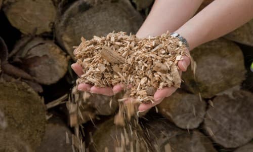 Uniunea Europeană a sprijinit lansarea a 30 de afaceri şi crearea a 100 de noi locuri de muncă în sectorul de producere a biocombustibilului