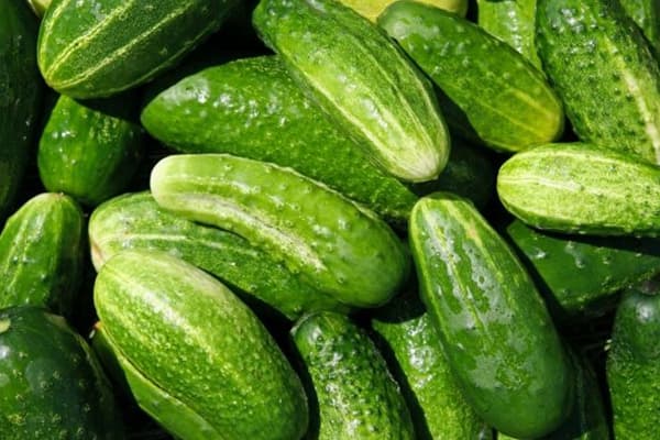 Până în toamnă castraveţii vor ajunge să coste şi 20 de lei