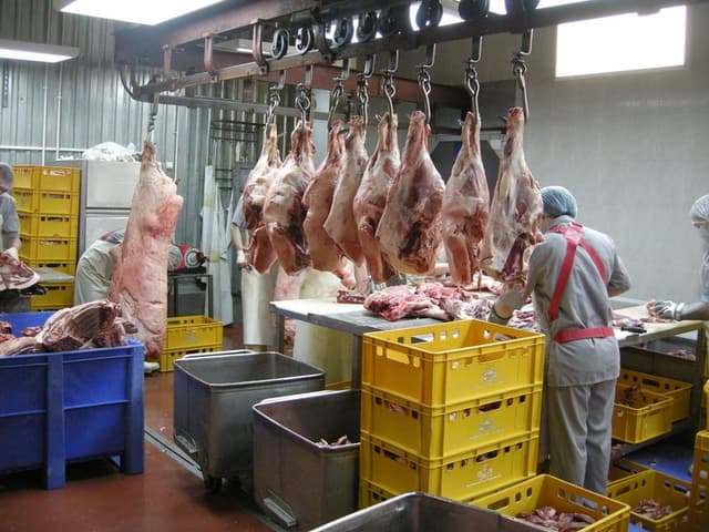 Companiile străine vor investi în producția utilajului pentru prelucrarea cărnii în Moldova
