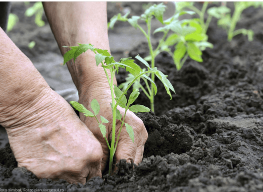 Fermierii cer Guvernului majorarea fondului de subvenționare până la un mlrd de lei