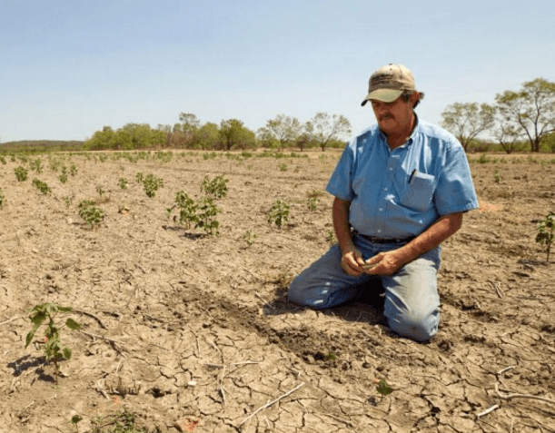 Agricultura Moldovei a suportat pierderi de peste cinci miliarde de lei