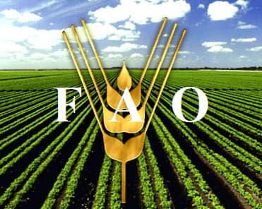 FAO susţine sectorul de siguranţă a alimentelor în Moldova