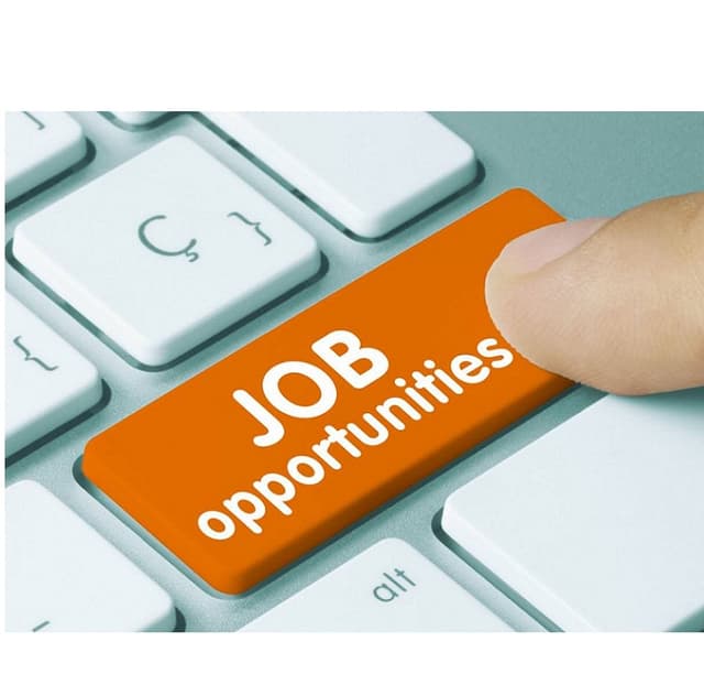 Numărul locurilor de muncă vacante a crescut