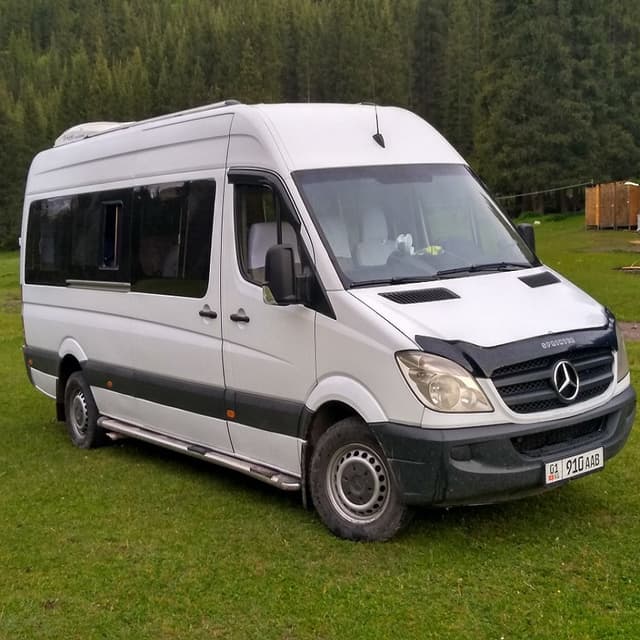 Importul microbuzelor cu termen de exploatare majorat