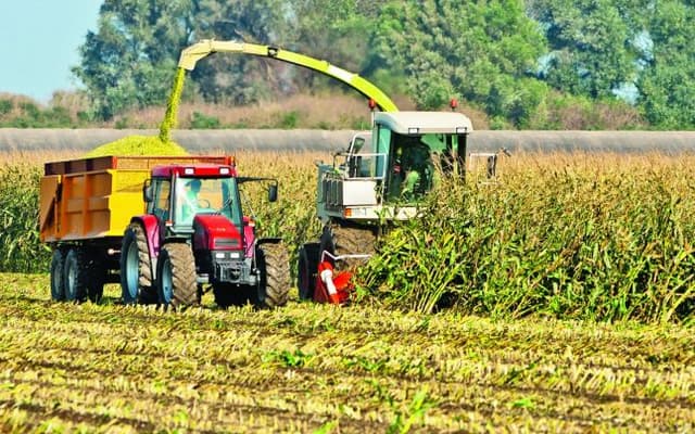 În acest an fondul de subvenționare ar putea constitui 850 mil. de lei