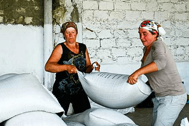 Şanse egale vs. privilegii oferite femeilor pe piaţa muncii