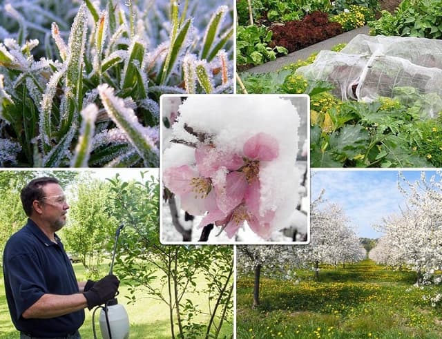 Компенсации за понесенные убытки