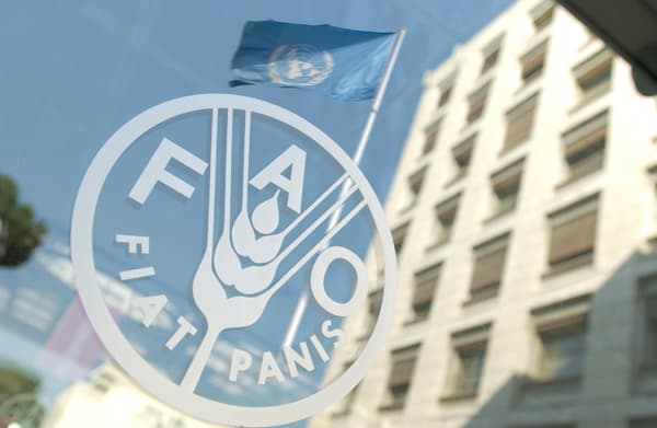 FAO Moldova va implementa un program de susținere a fermierilor mici și mijlocii