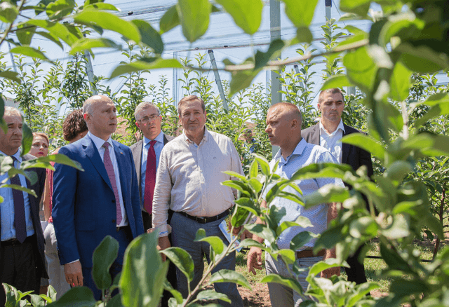 Guvernul susţine dezvoltarea sectorului agricol şi pledează pentru utilizarea tehnologiilor moderne