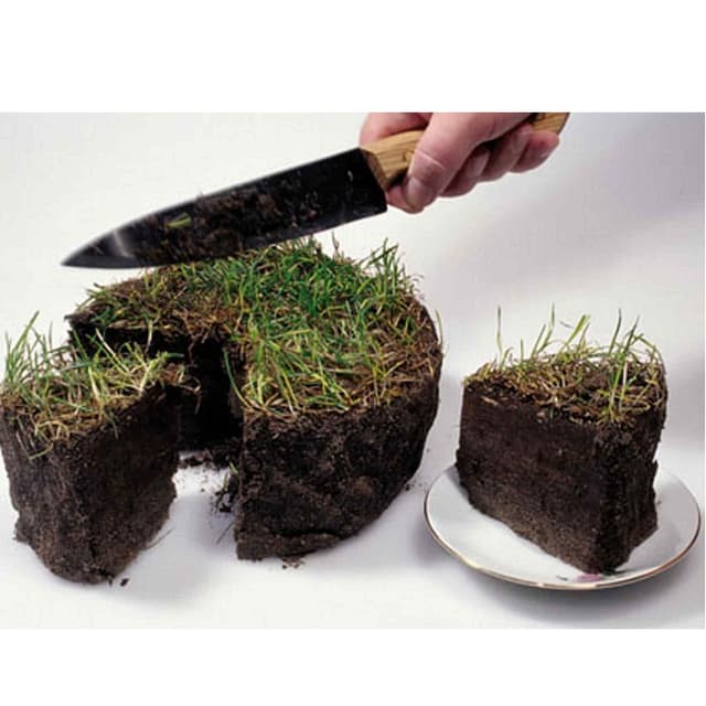 Разграничение публичной собственности