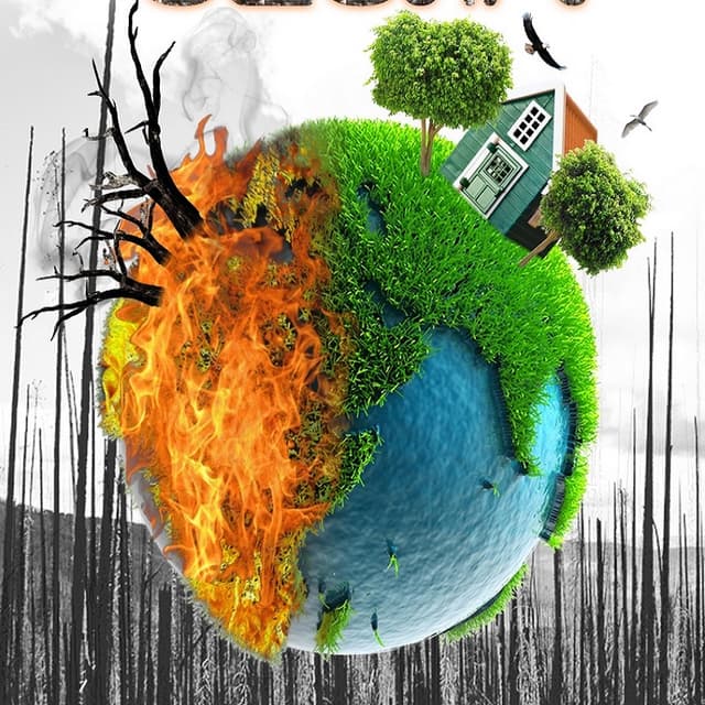 Incinerarea și coincinerarea deșeurilor, controlate riguros