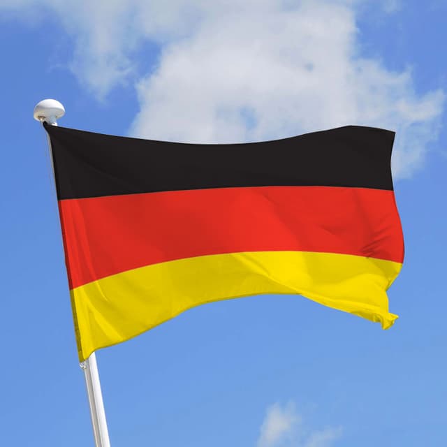 Как стать аудитором в Германии?