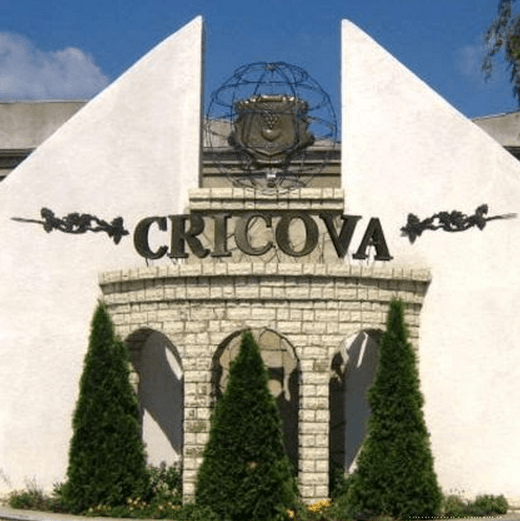 Combinatele de vinuri Cricova și Mileștii Mici ar putea fi scutite de achitarea taxelor locale