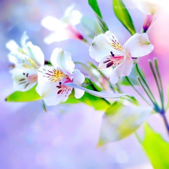 Dările de seamă anuale au fost prezentate! Felicitări cu ocazia Zilei Contabilului!