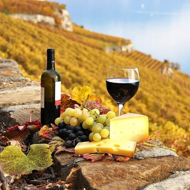 Vinul moldovenesc în Europa