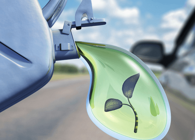 Schimb de experiență între producătorii de biocombustibil de pe ambele maluri ale Nistrului