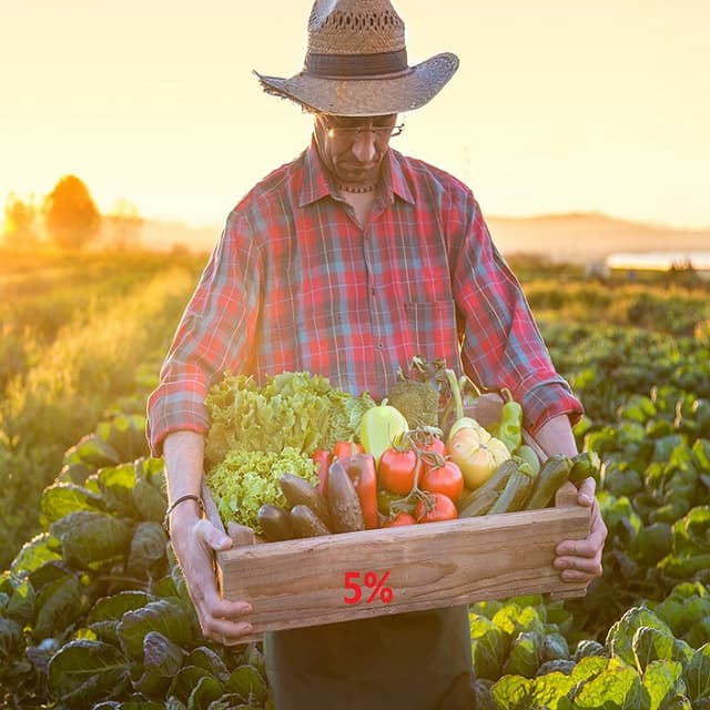 Codul fiscal va prevedea regimul fiscal al domeniului achizițiilor produselor agricole din horticultură