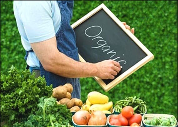 Регистрация производителей экологической сельхозпродукции