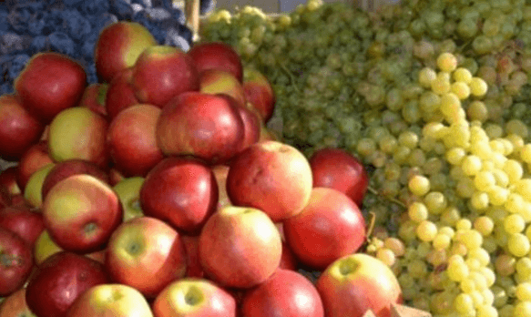 Молдавская плодоовощная продукция продвигается на рынках Европы, Азии и Ближнего Востока