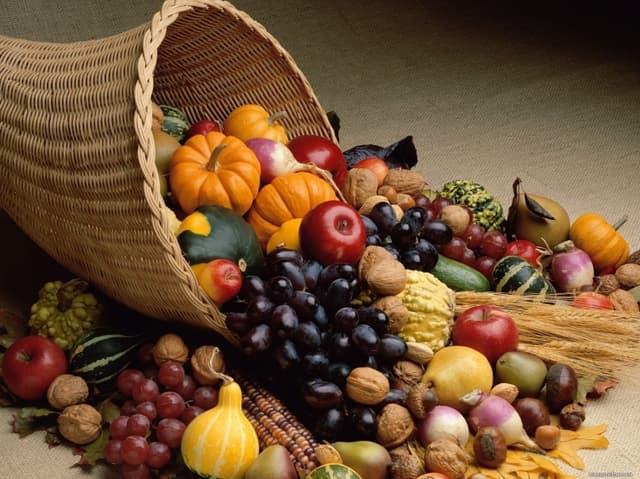 Găgăuzia va exporta producție agricolă în regiunea Moscova