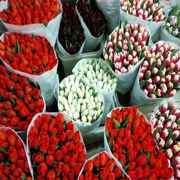 Posturi fiscale la comercianții de flori