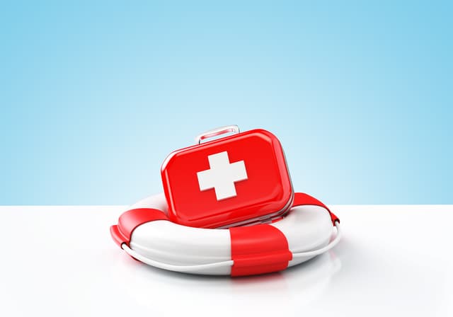 Guvernul a susținut majorarea veniturilor, cheltuielilor și a deficitului FAOAM