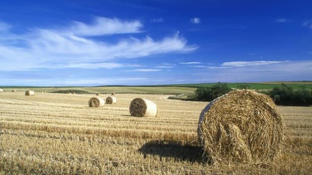 Premieră. Au fost create șase cooperative de întreprinzători în cadrul Proiectului MAC- P