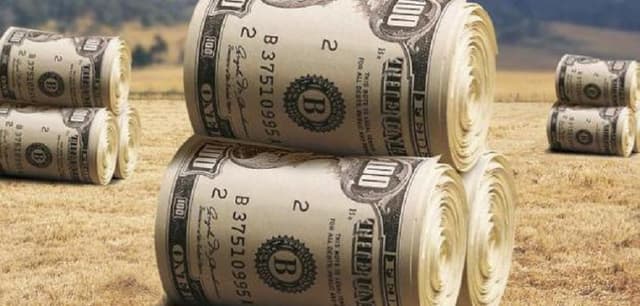 Agenția de Intervenție și Plăți pentru Agricultură – instituție publică