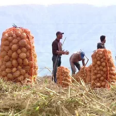 Registrul de evidenţă a zilierilor poate fi procurat la ISM