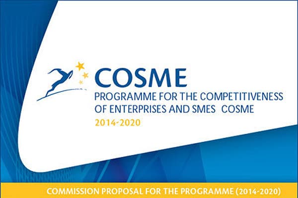 Ратифицировано Соглашение об участии Молдовы в Программе COSME