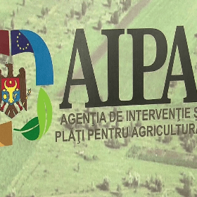 Compensarea accizelor la motorină: actele necesare