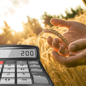 Terenul agricol - proprietatea fondatorului gospodăriei ţărănești. Modul de reflectare în contabilitate 