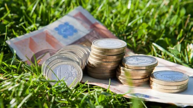 Mărimea maximă a subvenției pentru agricultori va fi majorată