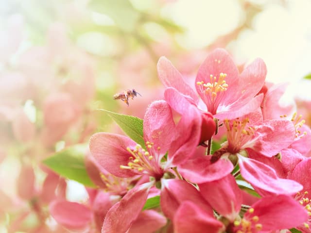 Mesaj de felicitare pentru echipa Publicaţiei Periodice „Monitorul Fiscal FISC.md”